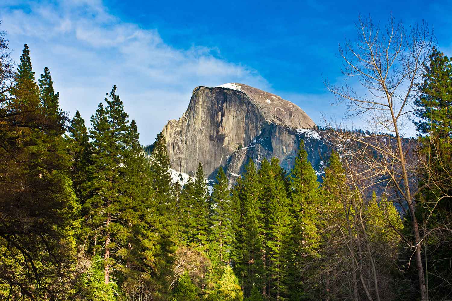 Half-dome-Yosemite